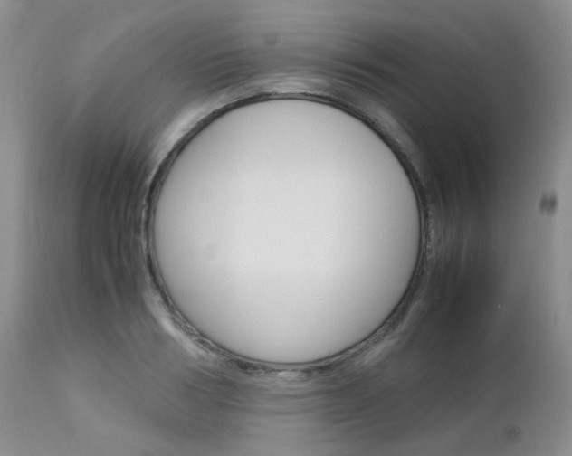 X0000113110986200908281013