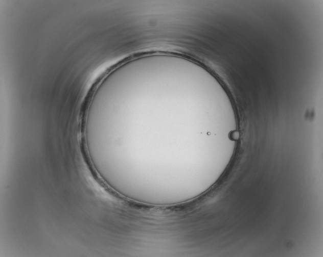 X0000113110987200908281013