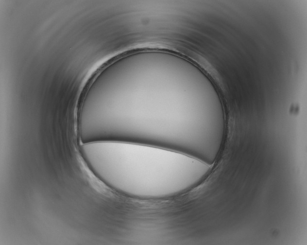 X0000113110988200908281013