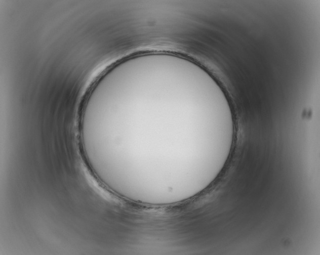 X0000113110990200908281013