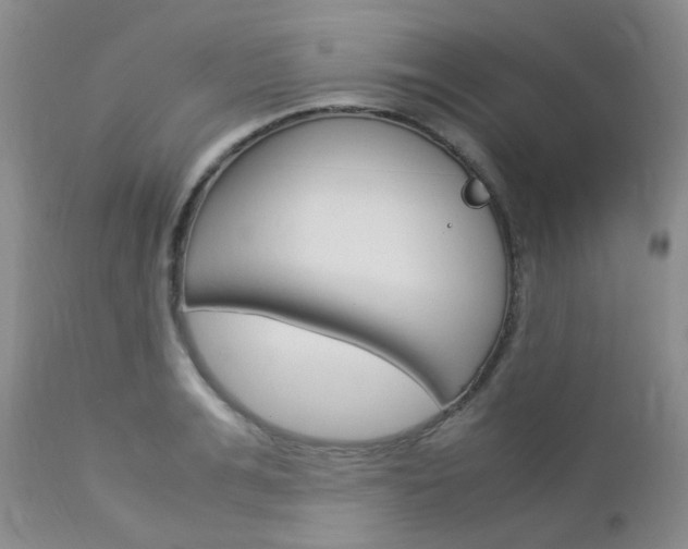 X0000113110991200908281013