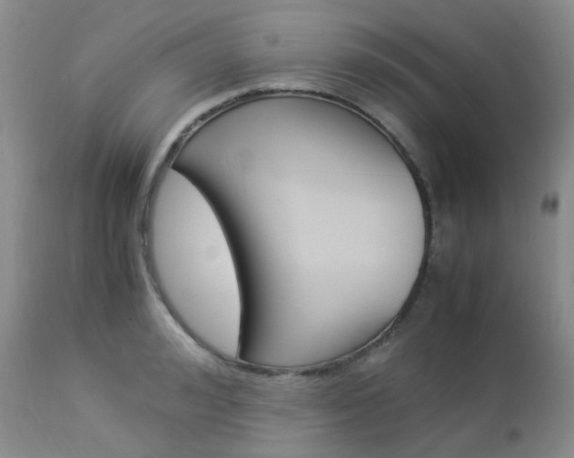 X0000113110992200908281013