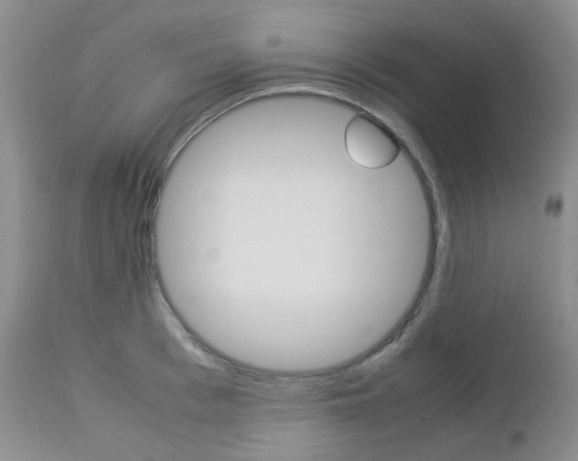 X0000113110993200908281013