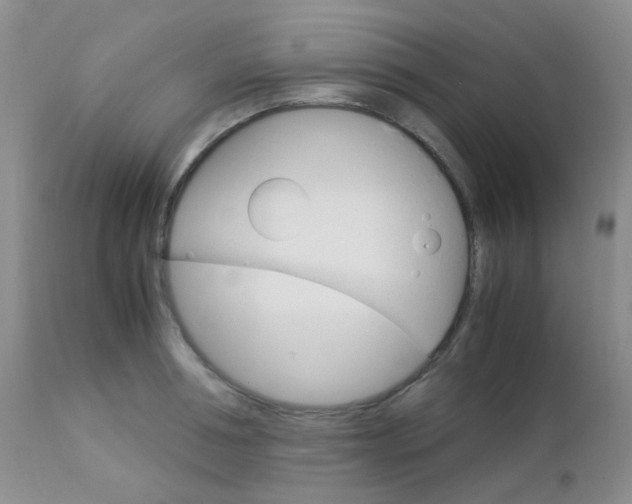 X0000113110994200908281013