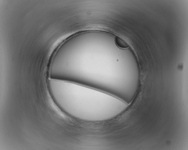 X0000113110995200908281013