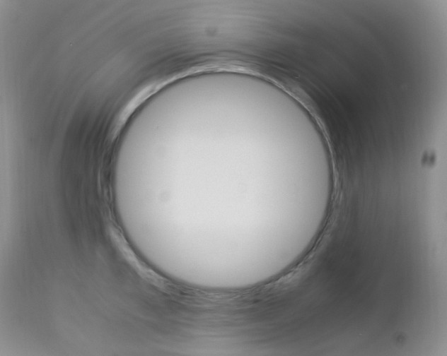 X0000113110997200908281013