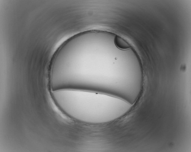 X0000113110999200908281013