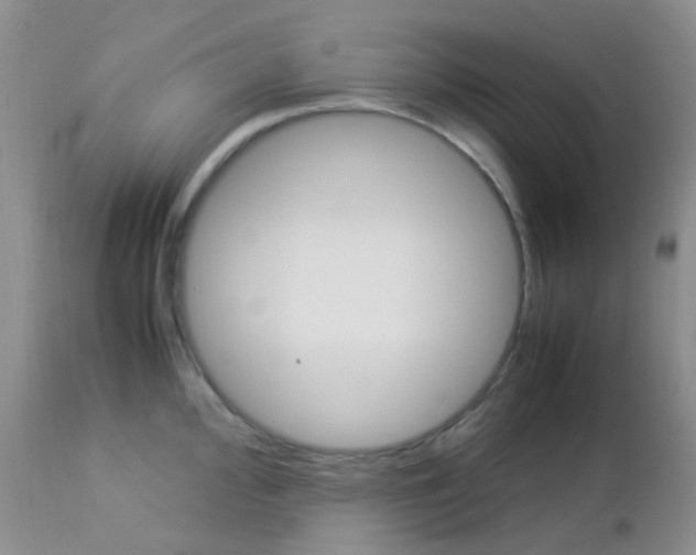 X0000113111000200908281013