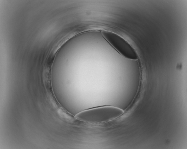 X0000113111001200908281013