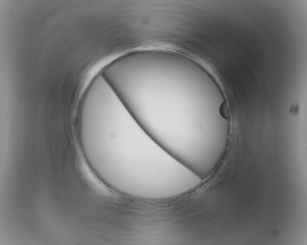 X0000113111003200908281013