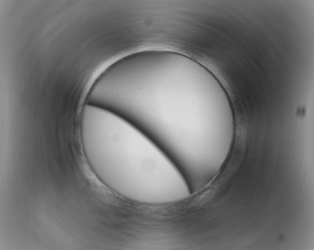 X0000113111004200908281013