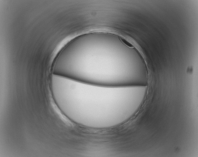 X0000113111005200908281013