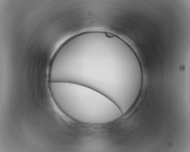 X0000113111006200908281013