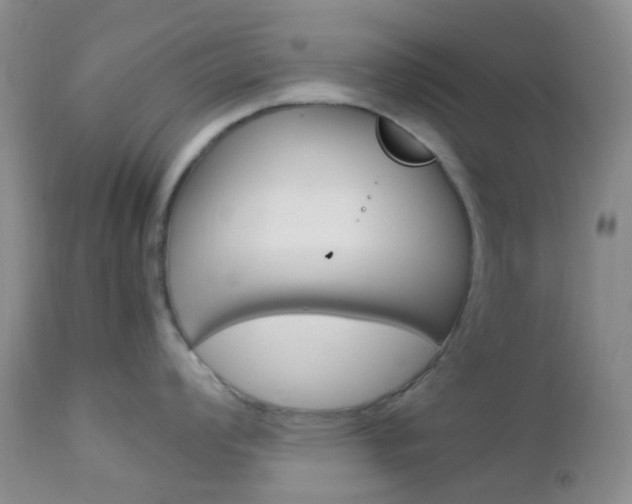 X0000113111008200908281012