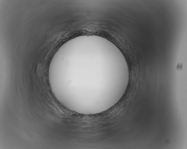 X0000113111009200908281012