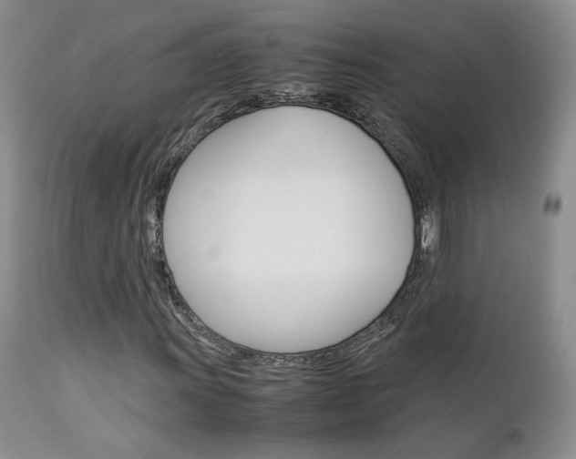 X0000113111011200908281012