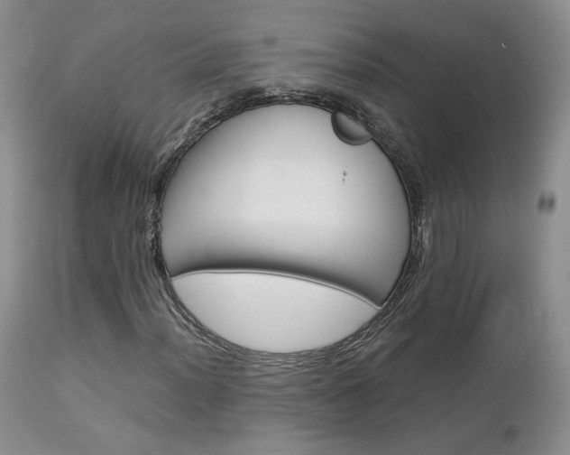 X0000113111012200908281012
