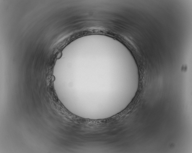 X0000113111015200908281012