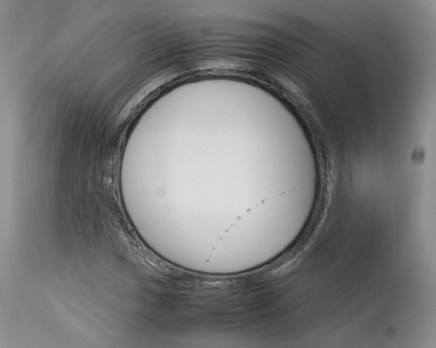 X0000113111017200908281012