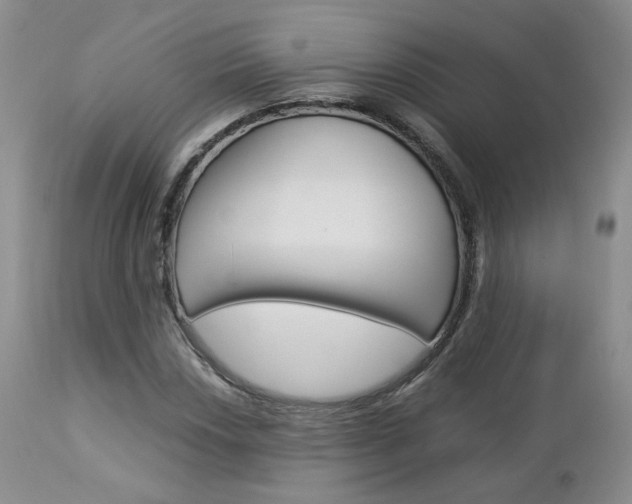 X0000113111018200908281012