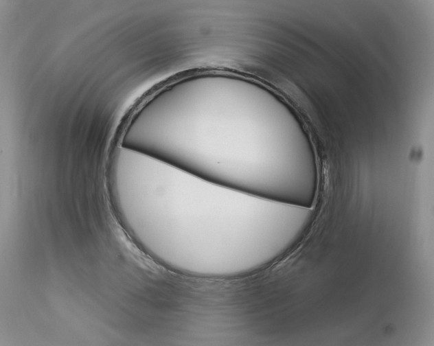 X0000113111020200908281012