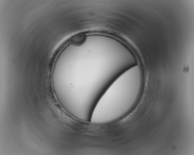 X0000113111021200908281012