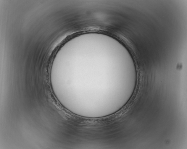 X0000113111023200908281012