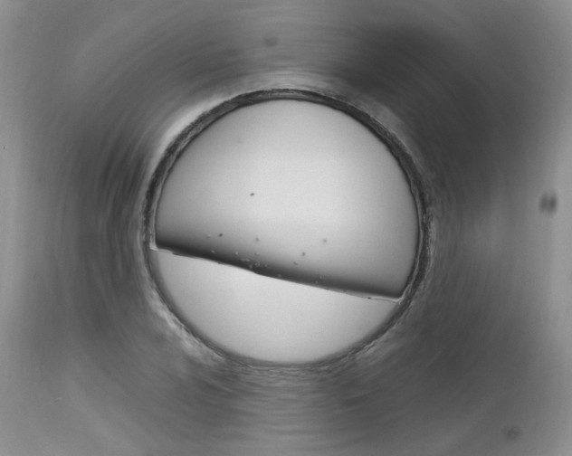 X0000113111024200908281012