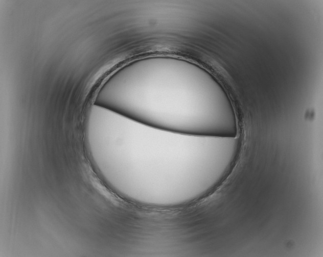 X0000113111026200908281012