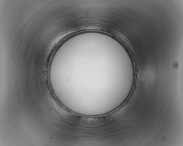 X0000113111027200908281012