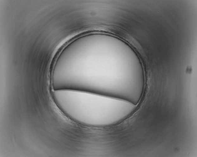X0000113111028200908281012