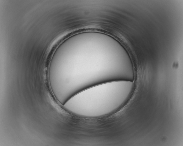 X0000113111029200908281012