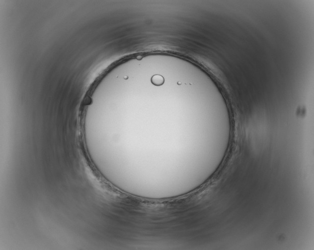 X0000113111031200908281012