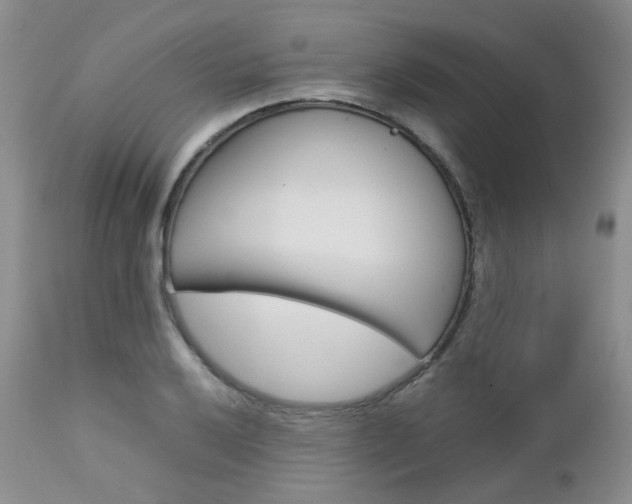 X0000113111032200908281012