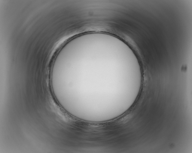 X0000113111035200908281012