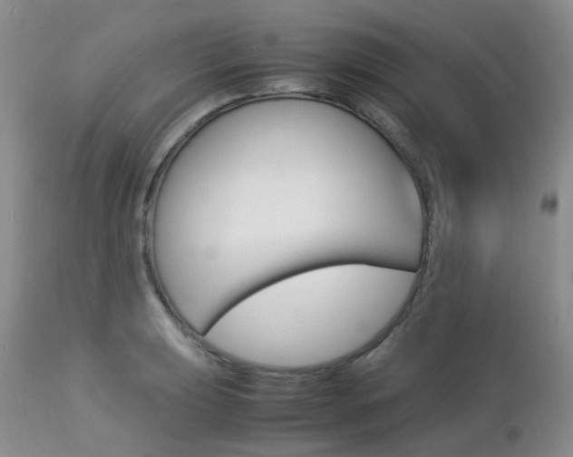 X0000113111039200908281012
