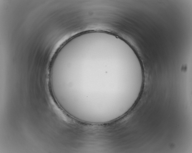 X0000113111040200908281012