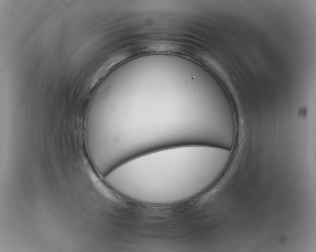 X0000113111041200908281012
