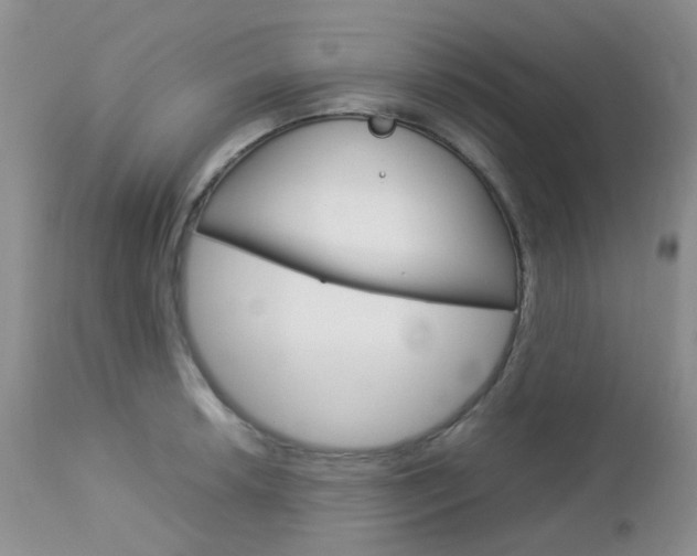 X0000113111042200908281012