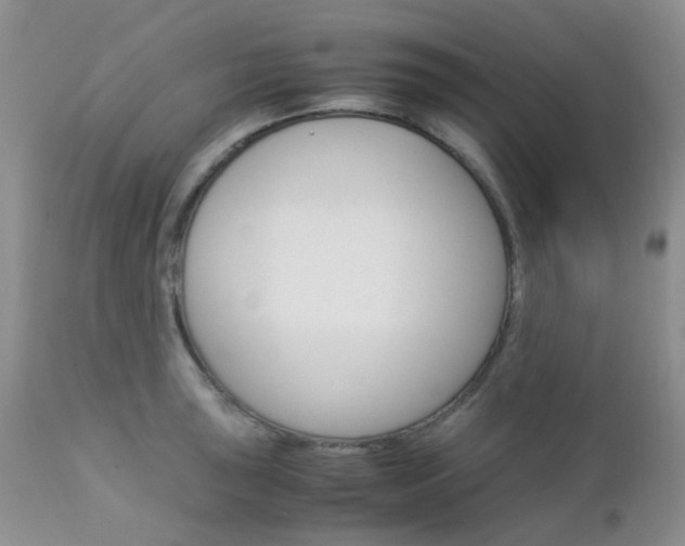X0000113111043200908281012
