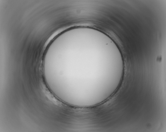 X0000113111044200908281012