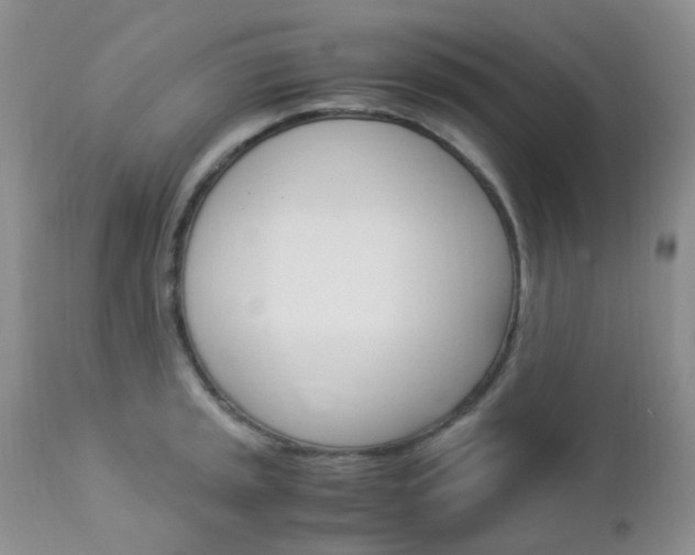 X0000113111045200908281012