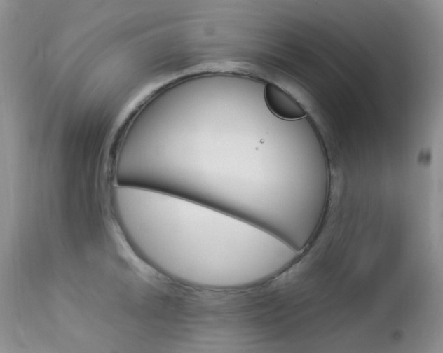 X0000113111046200908281012