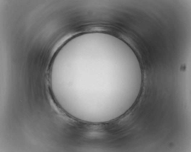 X0000113111047200908281012