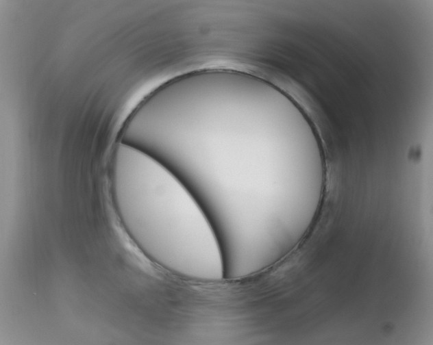 X0000113111048200908281012