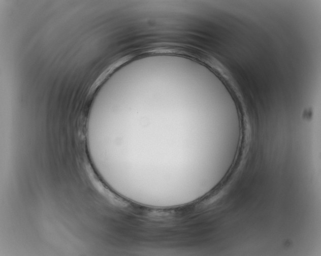 X0000113111049200908281012