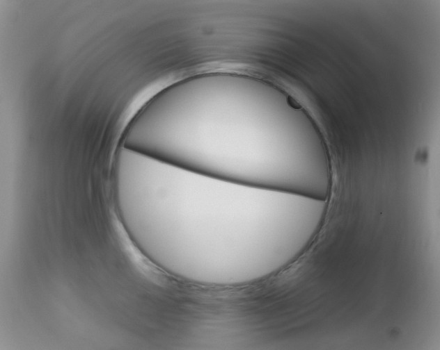 X0000113111050200908281012