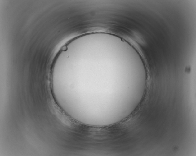 X0000113111051200908281012