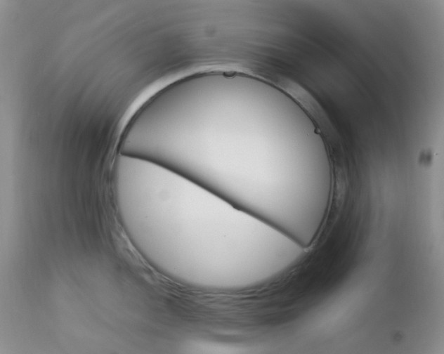 X0000113111052200908281012