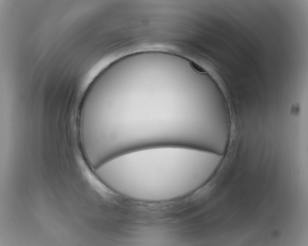 X0000113111054200908281012